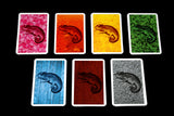 Coloretto